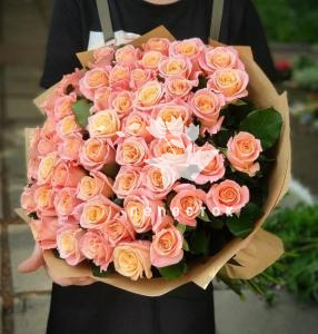 «51 персиковая роза»