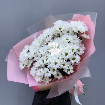 Цветы онлайн доставка курск орхидея купить в интернет магазине распродажа