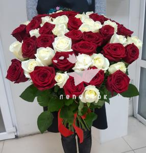 «51 классическая »