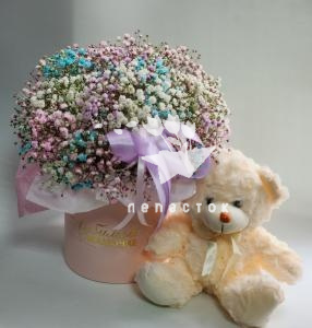 «Очарование»