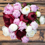 «Зефирный пион » - магазин цветов «Лепесток» в Курске